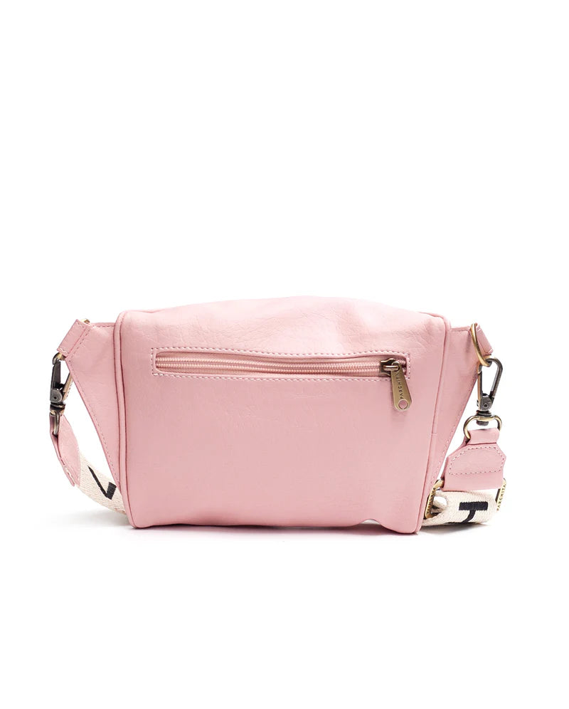 Canguro Bolo Parchita